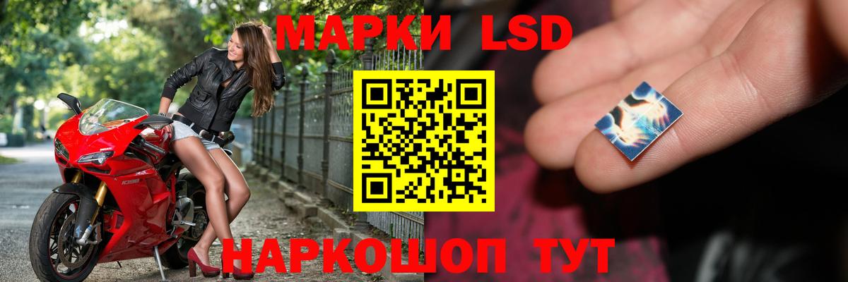 A-PVP Гусь-Хрустальный