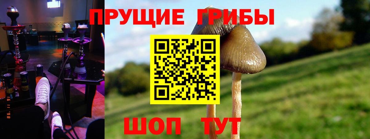 где купить   Галлюциногенные грибы ЛСД  Гусь-Хрустальный  Вход с VPN  Галлюциногенные грибы мицелий 